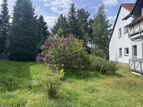 Foto - Wohnung zum Mieten in Lutherstadt Wittenberg 395,00 € 56.61 m²