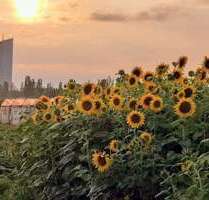 Wohnung zum Kaufen in Frankfurt am Main 450.000,00 € 80 m²