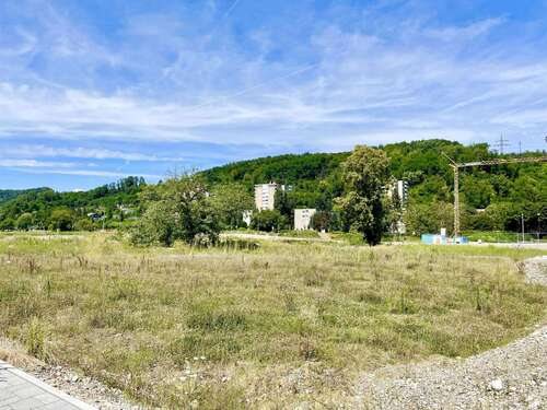 Foto - Haus zum Kaufen in Grenzach-Wyhlen 900.000,00 € 450 m²