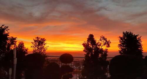 Foto - Wohnung zum Kaufen in Weingarten 1.150.000,00 € 193.48 m²