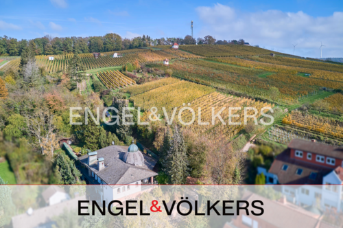 Foto - Haus zum Kaufen in Groß-Umstadt 1.295.000,00 € 408 m²