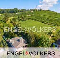 Haus zum Kaufen in Groß-Umstadt 1.295.000,00 € 408 m²