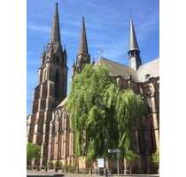 Haus zum Kaufen in Marburg 1.650.000,00 € 244 m²