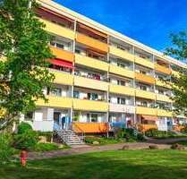 Wohnung zum Mieten in Zwickau 238,00 € 41 m²