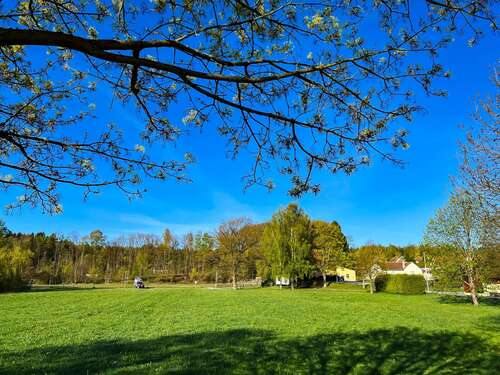 Foto - Haus zum Kaufen in Ringenhain 230.000,00 € 74.69 m²