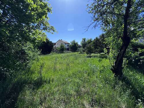 Foto - Grundstück zu verkaufen in Zwingenberg 650.000,00 € 984 m²
