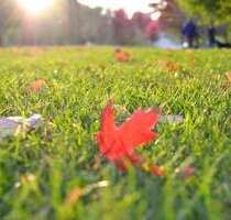 Grundstück zu verkaufen in München 6.600.000,00 € 2964 m²