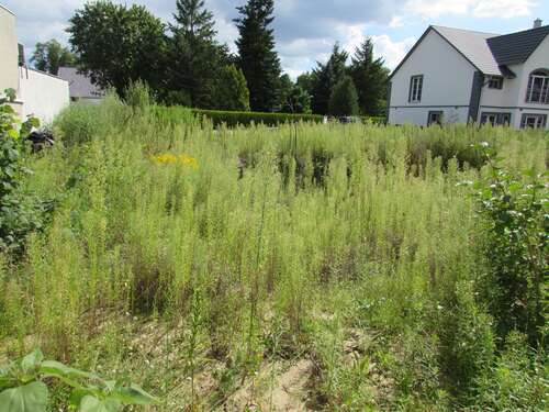 Foto - Grundstück zu verkaufen in Bestensee 139.999,00 € 440 m²