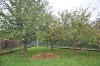 Foto - Grundstück zu verkaufen in Hattersheim am Main 1.160.000,00 € 889 m²