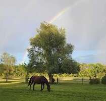 Haus zum Kaufen in Dallgow-Döberitz 830.000,00 € 230 m²