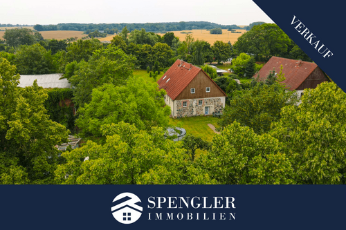 Foto - Haus zum Kaufen in Möllenhagen 329.000,00 € 320 m²