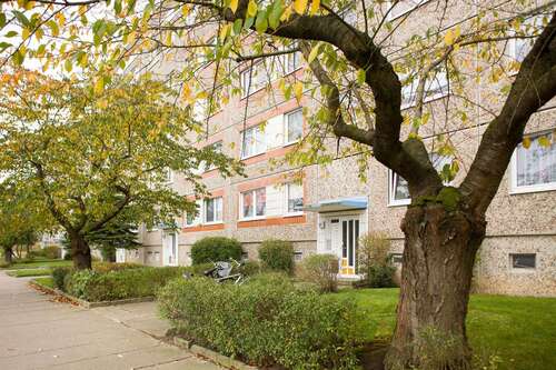 Foto - Wohnung zum Mieten in Neubrandenburg 334,00 € 76.11 m²
