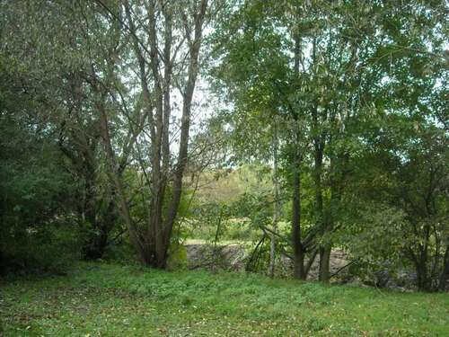 Foto - Wohnung zum Kaufen in Falkensee 299.000,00 € 86.9 m²