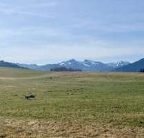 Grundstück zu verkaufen in Bad Kohlgrub 675.000,00 € 1080 m²