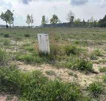 Grundstück in Strausberg 185.000,00 € 1168 m²