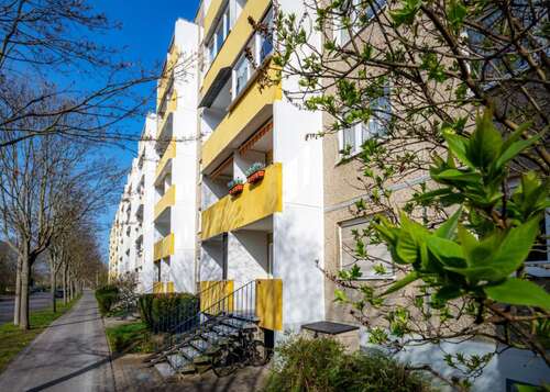Foto - Wohnung zum Mieten in Halle (Saale) 267,00 € 41.12 m²