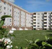 Wohnung zum Mieten in Stralsund 376,90 € 60.79 m²