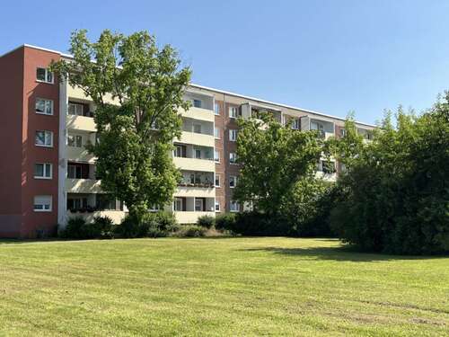 Foto - Wohnung zum Mieten in Halle (Saale) 300,00 € 56.65 m²