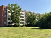 Wohnung zum Mieten in Halle (Saale) 300,00 € 56.65 m²