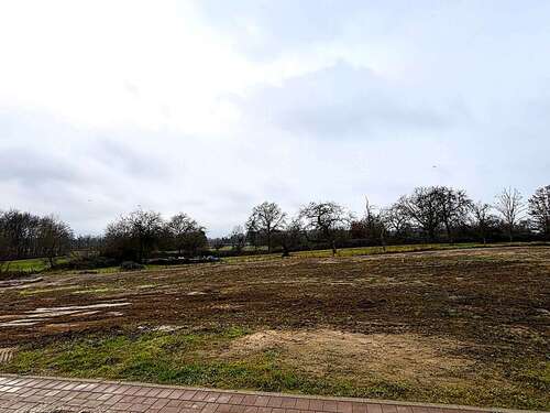 Foto - Grundstück zu verkaufen in Muggensturm 249.000,00 € 390 m²