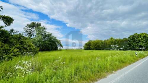 Foto - Grundstück zu verkaufen in Wesselburenerkoog 249.990,00 € 5120 m²