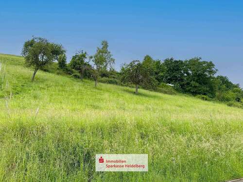 Foto - Grundstück zu verkaufen in Eberbach 63.600,00 € 795 m²