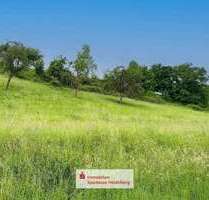 Grundstück zu verkaufen in Eberbach 63.600,00 € 795 m²