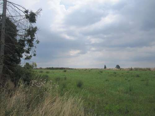 Foto - Grundstück zu verkaufen in Dodendorf 70.000,00 € 1000 m²