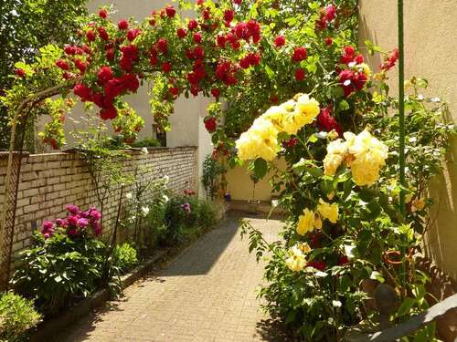 Foto - Wohnung zum Mieten in Baden-Baden 800,00 € 80 m²