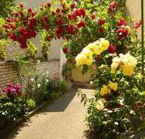 Wohnung zum Mieten in Baden-Baden 800,00 € 80 m²