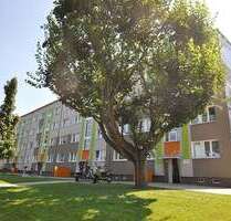 Wohnung zum Mieten in Prenzlau 515,00 € 60.8 m²