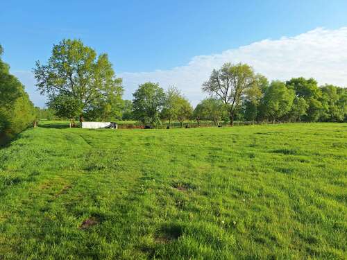 Foto - Grundstück zu verkaufen in Oldenburg 385.000,00 € 38987 m²