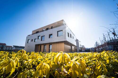 Foto - Wohnung zum Mieten in Dortmund 530,00 € 32.65 m²