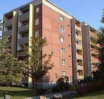 Wohnung zum Mieten in Gera 335,00 € 55 m²