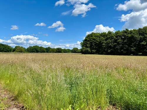 Foto - Grundstück in Ellerbek 950.000,00 € 5936 m²