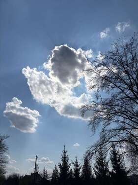 Foto - Grundstück zu verkaufen in Werdau 89.000,00 € 1201 m²