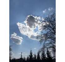 Grundstück zu verkaufen in Werdau 89.000,00 € 1201 m²