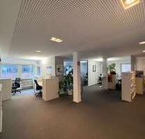 Büro in Stuttgart 2.950,00 € 233 m²