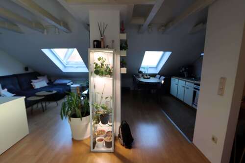 Foto - Wohnung zum Mieten in Mannheim 625,00 € 40 m²