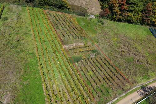 Foto - Grundstück in Waldkirch Buchholz 6.640,00 € 664 m²