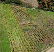 Grundstück in Waldkirch Buchholz 6.640,00 € 664 m² - Waldkirch / Buchholz