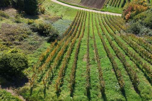 Foto - Grundstück in Waldkirch Buchholz 6.200,00 € 620 m²
