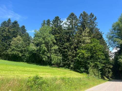 Foto - Grundstück in Rattenberg 18.000,00 € 4274 m²