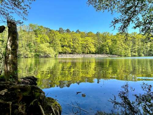 Foto - Haus zum Kaufen in Berlin - Dahlem 2.400.000,00 € 246 m²