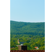 Haus zum Kaufen in waiblingen 695.800,00 € 184 m²