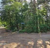 Grundstück zu verkaufen in Borkheide 149.000,00 € 1162 m²