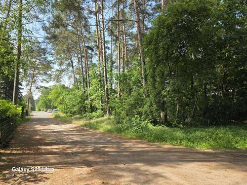 Foto - Grundstück zu verkaufen in Borkheide 155.000,00 € 1234 m²