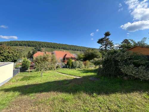 Foto - Haus zum Kaufen in Wörth am Main 329.000,00 € 151 m²