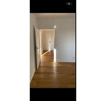 Wohnung zum Mieten in Mannheim 810,00 € 57 m²