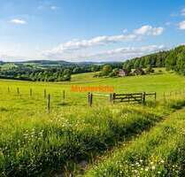 Grundstück in Neuershausen 26.000,00 € 9981 m²